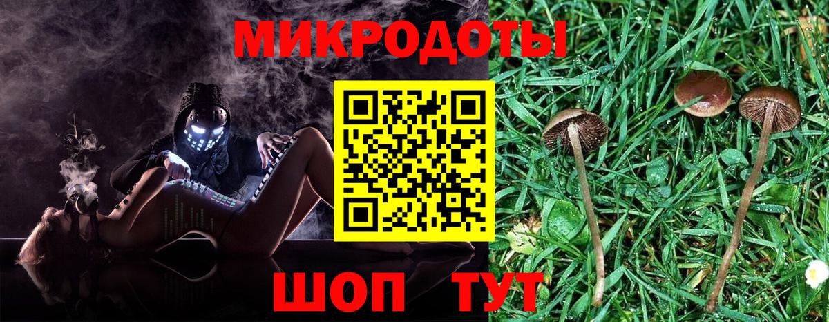 Псилоцибиновые грибы GOLDEN TEACHER Карачаевск