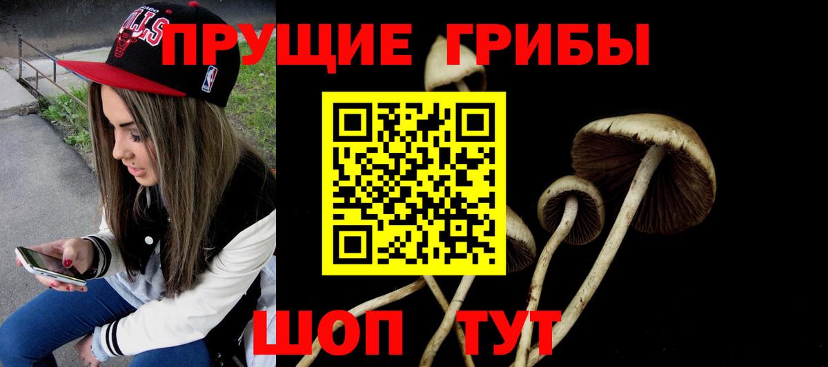 Карачаевск  где купить наркоту  Вход с VPN  Псилоцибиновые грибы Magic Shrooms 