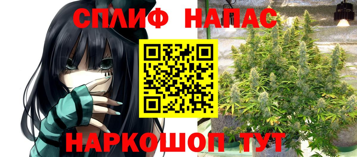 Карачаевск  Конопля VHQ  Каннабис план  Вход с VPN 